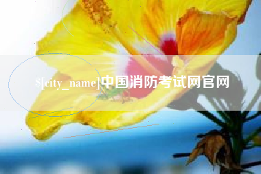 通许中国消防考试网官网