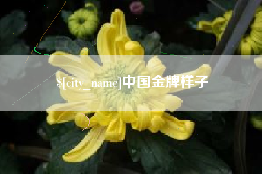 通许中国金牌样子