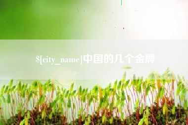 通许中国的几个金牌