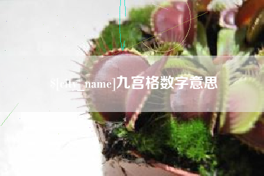 通许九宫格数字意思