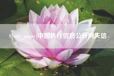 通许中国执行信息公开网失信