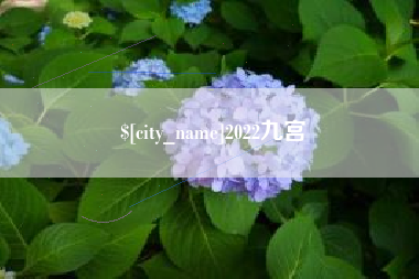 通许2022九宫
