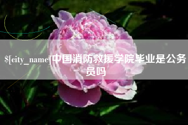 通许中国消防救援学院毕业是公务员吗