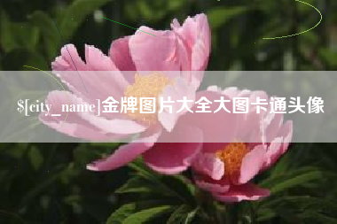 通许金牌图片大全大图卡通头像