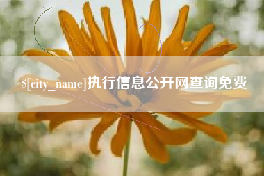 通许执行信息公开网查询免费