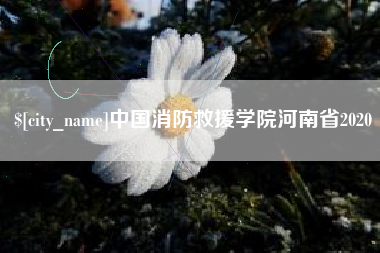 通许中国消防救援学院河南省2020